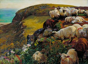 Our English Coasts, 1852 (`Strayed Sheep)